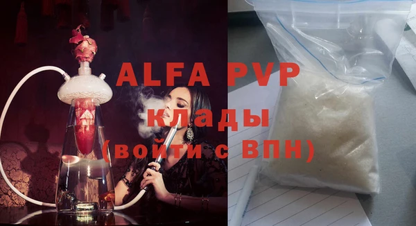 прущие грибы Майский