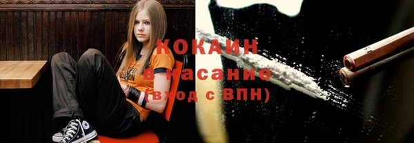 ECSTASY Медвежьегорск