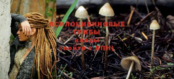 СК Магадан