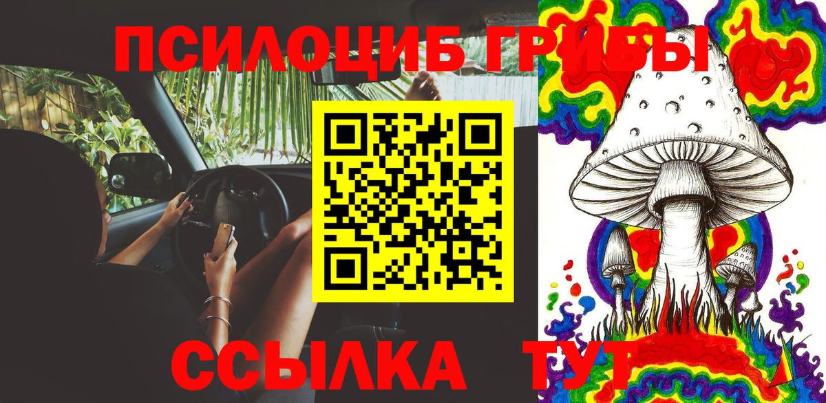 Псилоцибиновые грибы Cubensis  Вход с VPN  Псилоцибиновые грибы MAGIC MUSHROOMS  Фурманов 