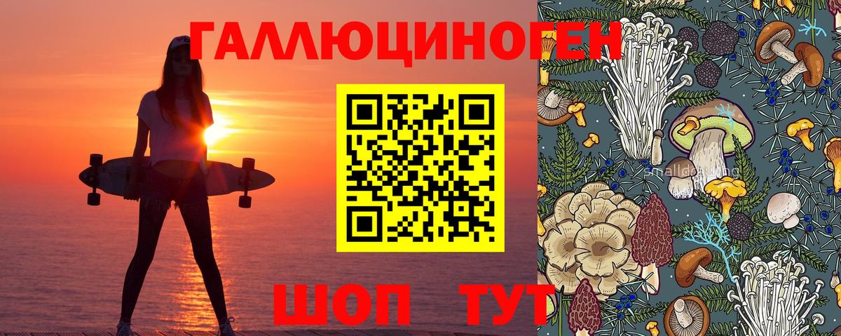 Галлюциногенные грибы Psilocybine cubensis Фурманов