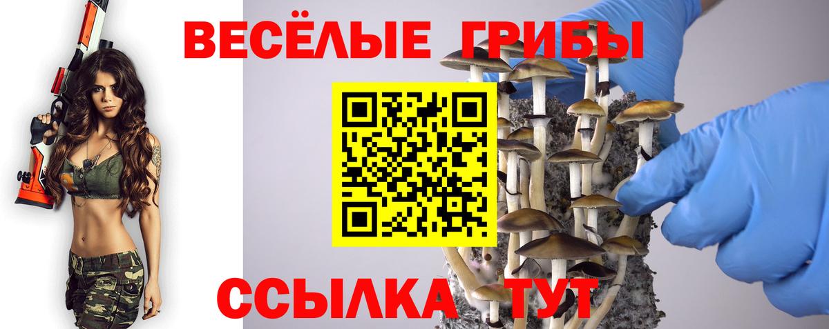 Псилоцибиновые грибы Psilocybine cubensis  Фурманов  купить наркотик  Галлюциногенные грибы мицелий 